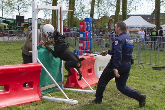 113-13 mai 2012
