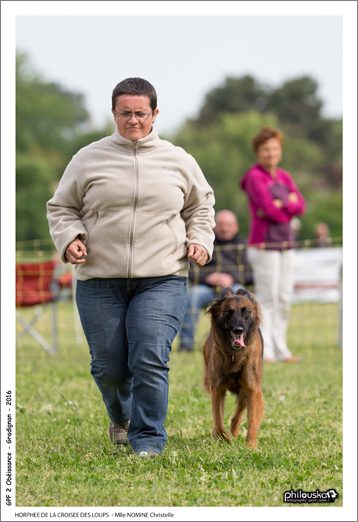 0014-08 mai 2016 - HORPHEE DE LA CROISEE DES LOUPS - Mlle NOMINE Christelle