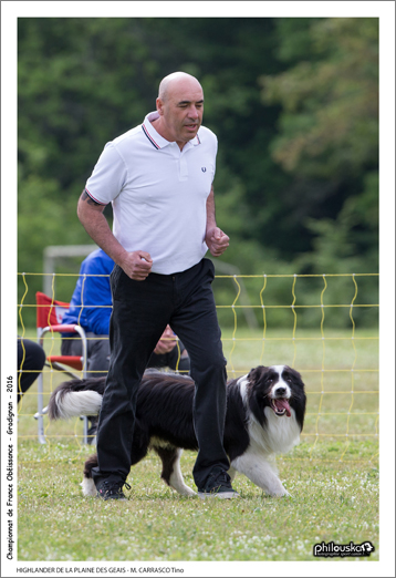 0031-07 mai 2016 - HIGHLANDER DE LA PLAINE DES GEAIS - M. CARRASCO Tino