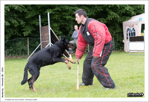 0041-11 juin 2016 - K'malbec du vieux tchiniss - Demeyer Gaëlle