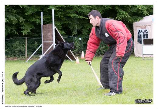 0044-11 juin 2016 - Full des crocs de heurtevent - Houllier Christian