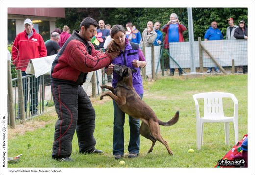 0058-11 juin 2016 - Istyx of the laika's farm - Meessen Deborah