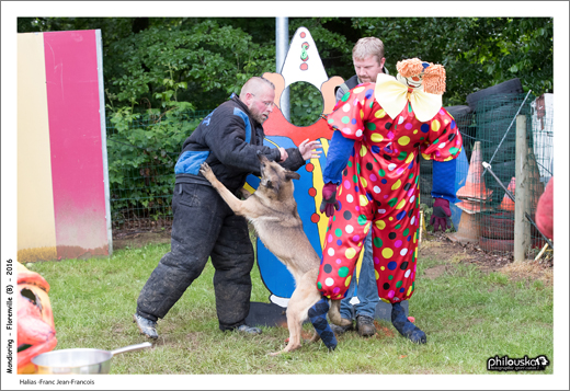 0080-11 juin 2016 - Halias -Franc Jean-François