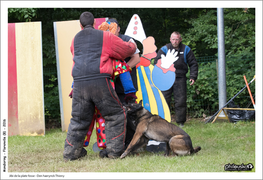 0100-12 juin 2016 - Jibi de la plate fosse - Den haerynck Thierry