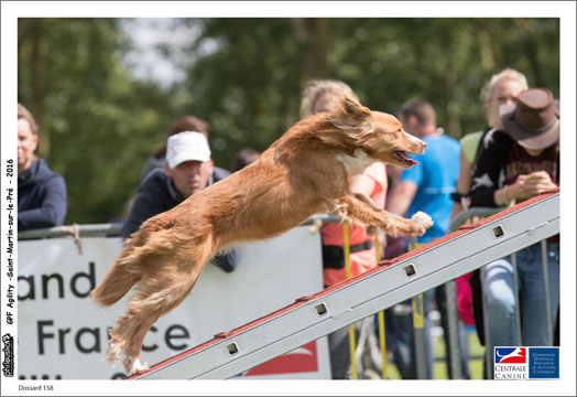 Dossard 158 -0008-02 juillet 2016