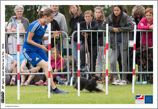 Equipe de France -0236-03 juillet 2016