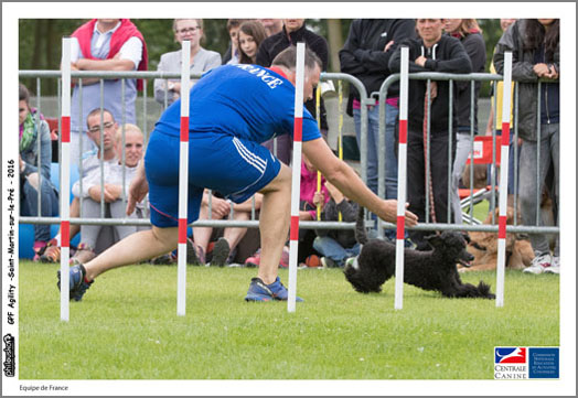 Equipe de France -0334-03 juillet 2016