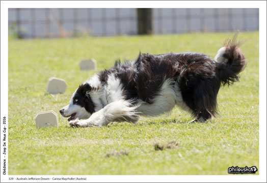 329 - Australis Jefferson Dream - Carina Mayrhofer (Austria) - 0004-13 août 2016